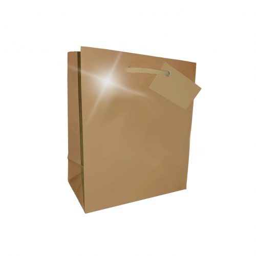 GIFT BAG LARGE 265x330MM GOLD