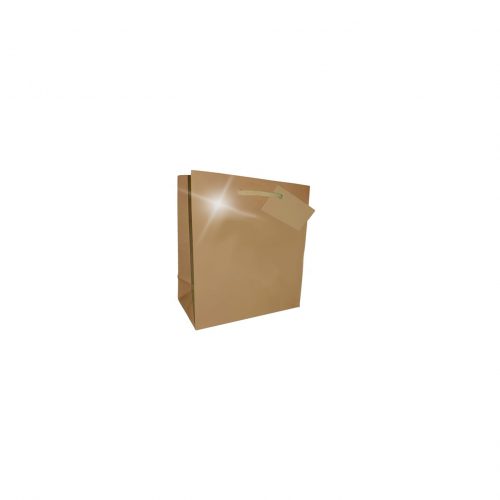 GIFT BAG SMALL 114x146MM GOLD