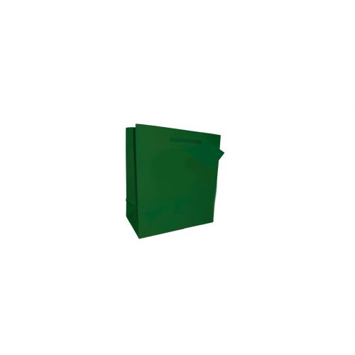 GIFT BAG SMALL 114x146MM GREEN