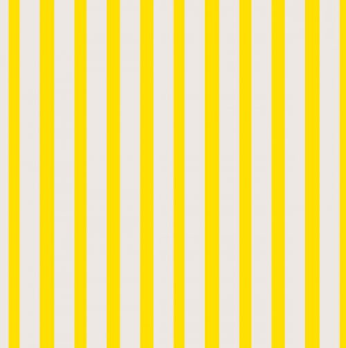 3 PLY YELLOW - STRIPES (20)